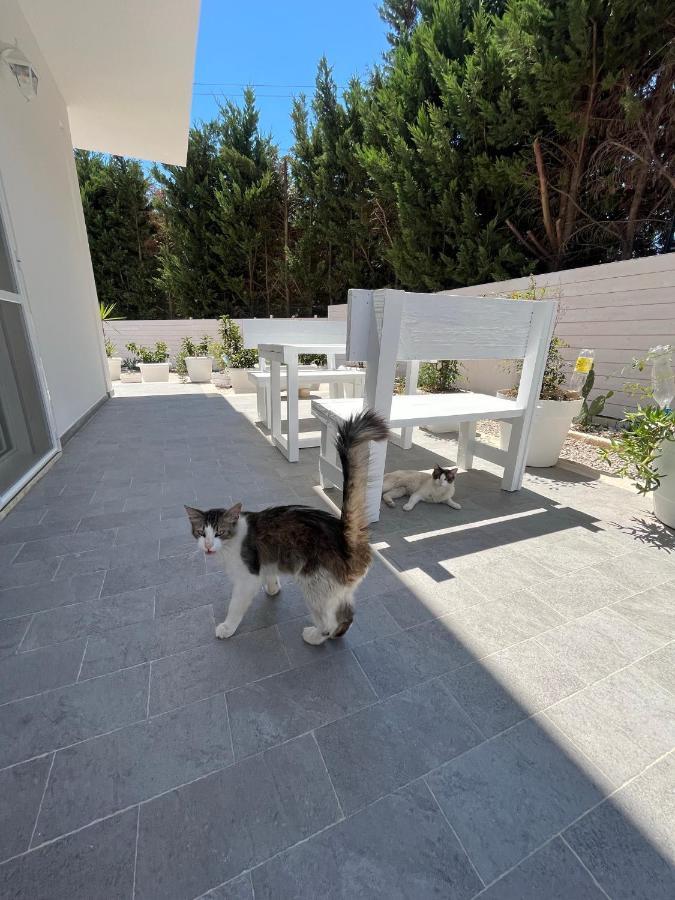 레체 La Casa Di Nina B&B 외부 사진