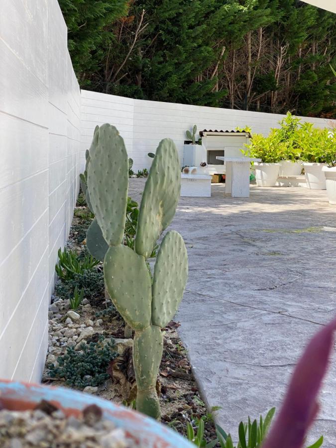레체 La Casa Di Nina B&B 외부 사진