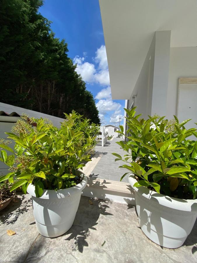 레체 La Casa Di Nina B&B 외부 사진